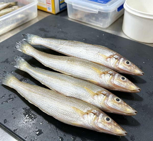 Whole Sardines
